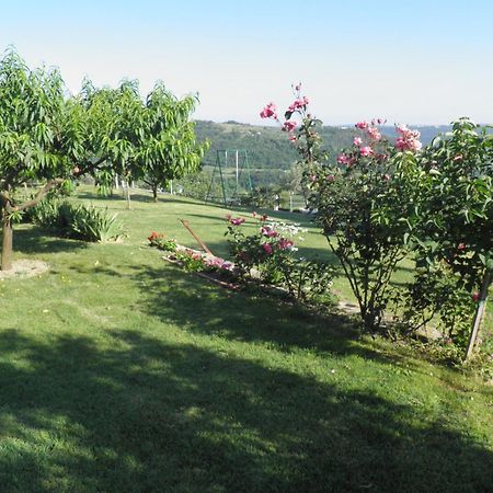 Apartments Cipresa Πορτορόζ Εξωτερικό φωτογραφία