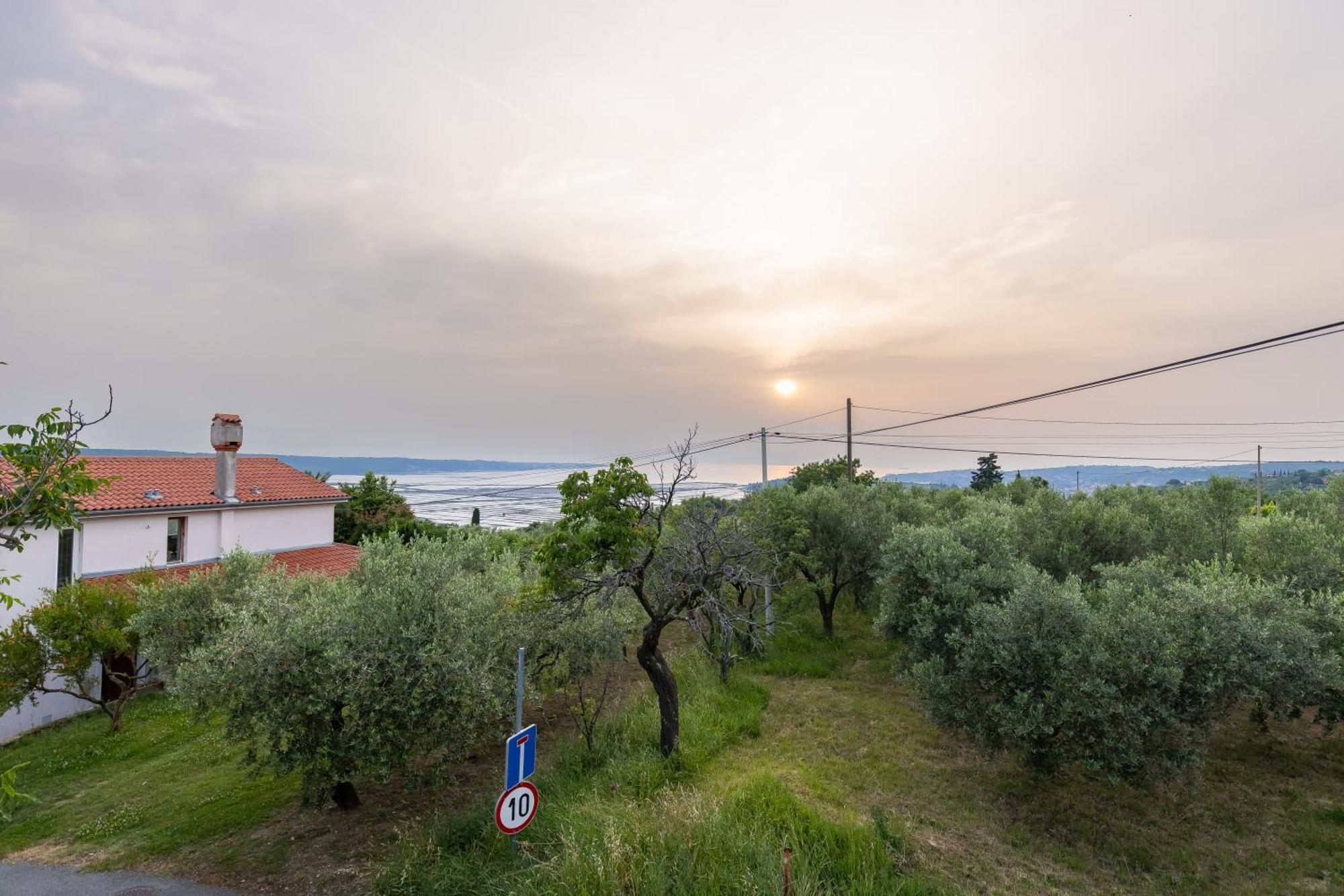 Apartments Cipresa Πορτορόζ Εξωτερικό φωτογραφία