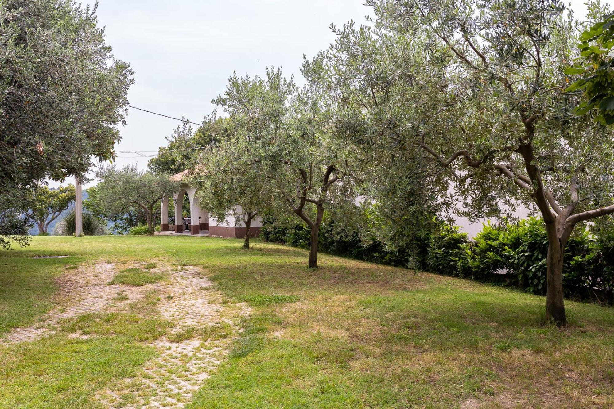 Apartments Cipresa Πορτορόζ Εξωτερικό φωτογραφία