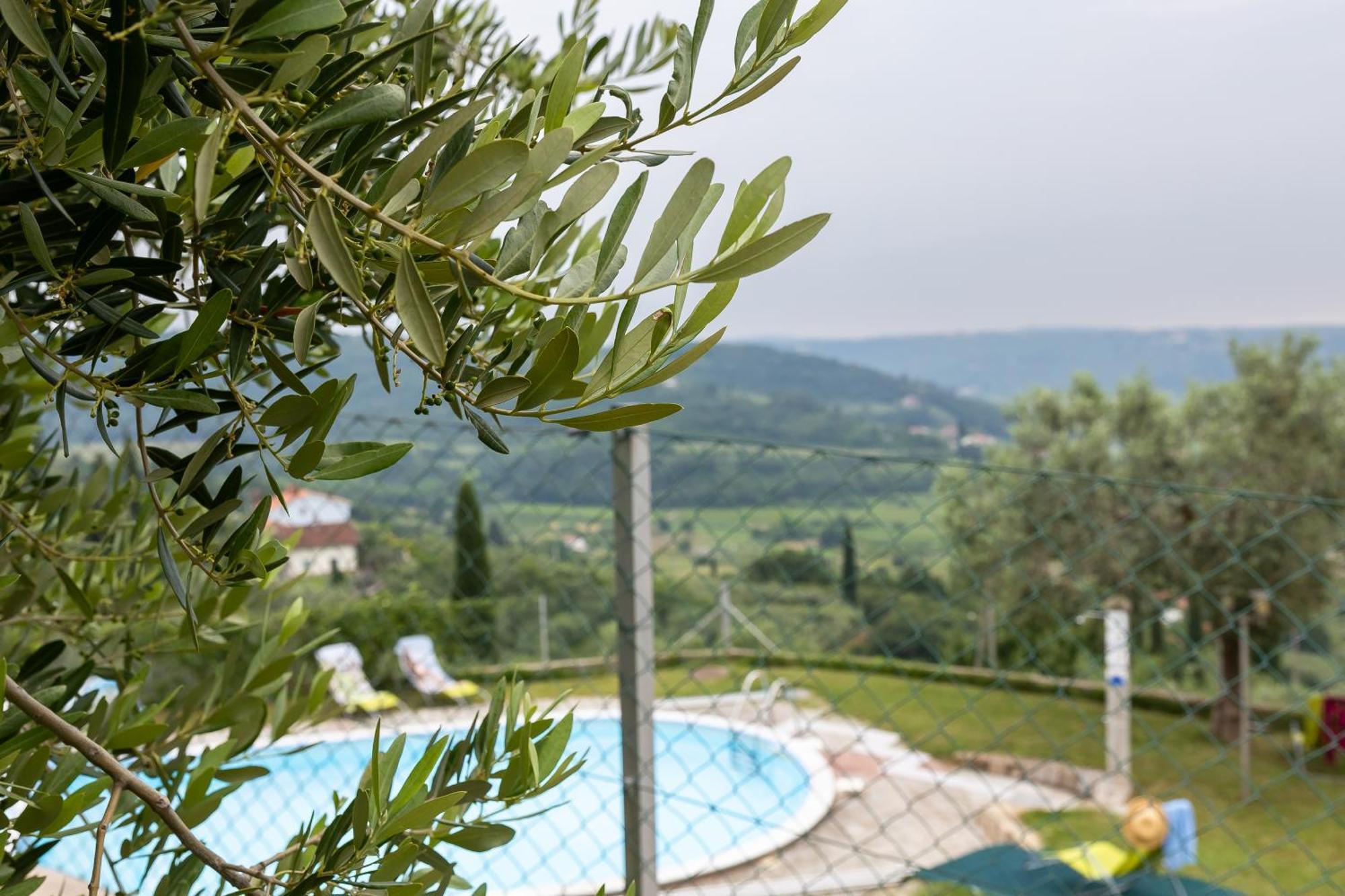 Apartments Cipresa Πορτορόζ Εξωτερικό φωτογραφία