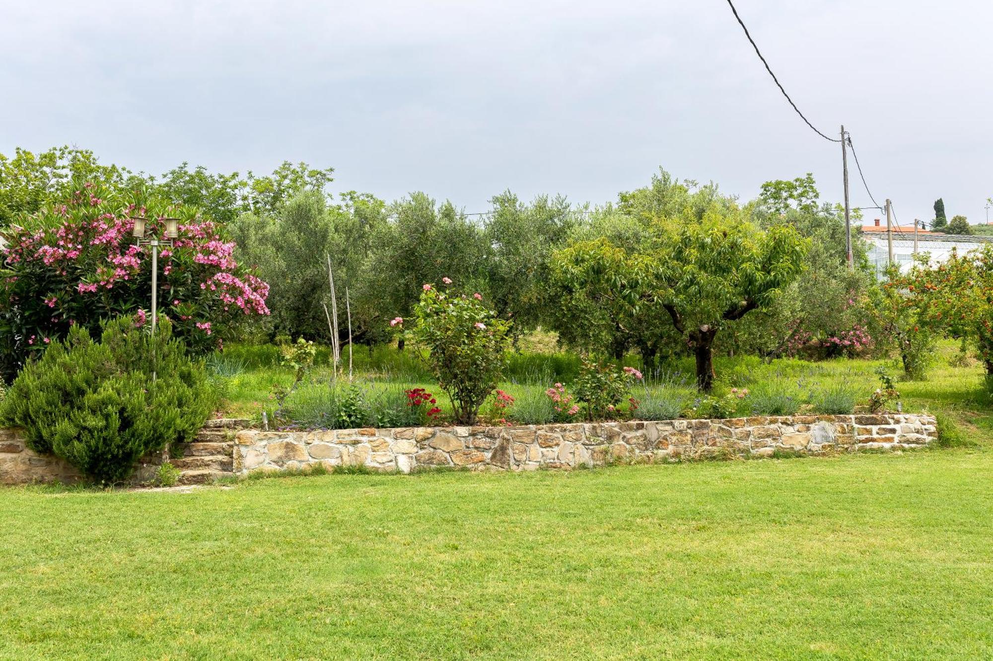 Apartments Cipresa Πορτορόζ Εξωτερικό φωτογραφία
