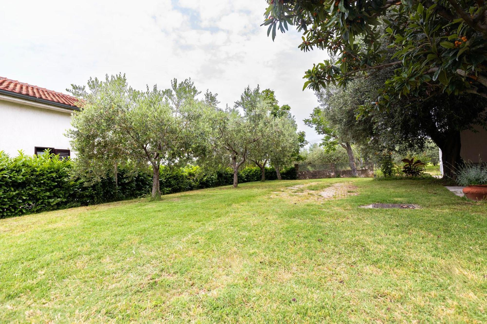 Apartments Cipresa Πορτορόζ Εξωτερικό φωτογραφία